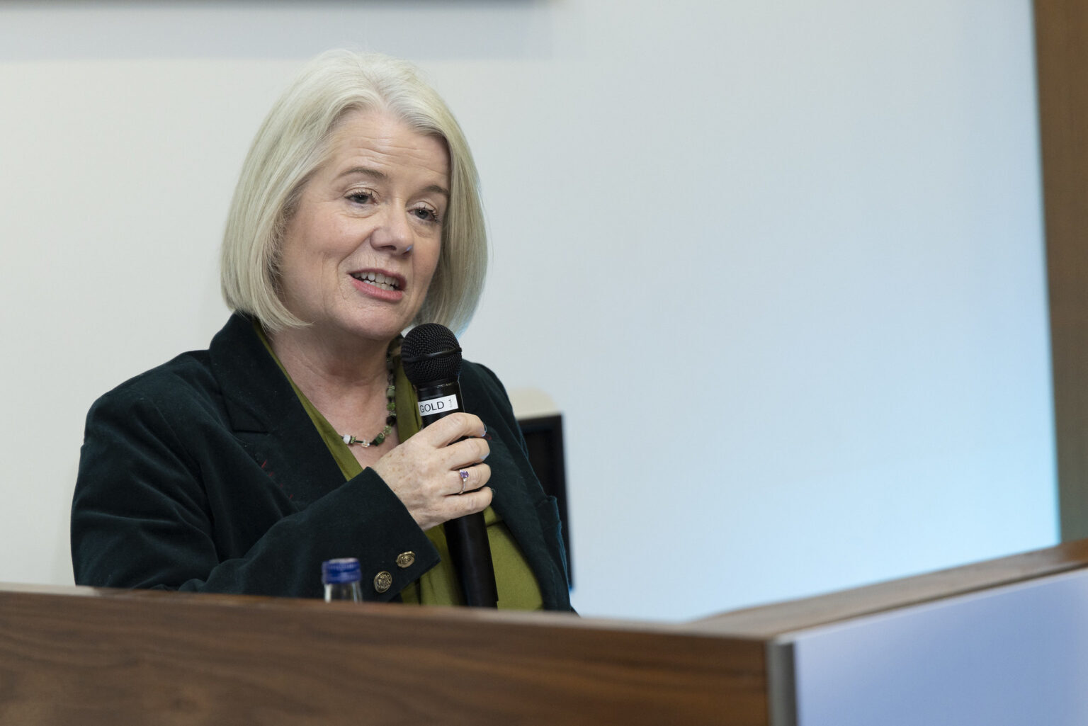 Rosemary Keogh, Chief Executive of Chartered Accountants Ireland, pictured speaking at a recent event.